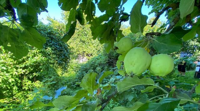 ул Садовая Куземкинское с пос фото