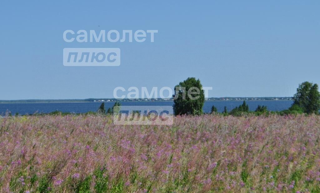 земля р-н Красноармейский с Шумово Шумовское сельское поселение, Миасское фото 4