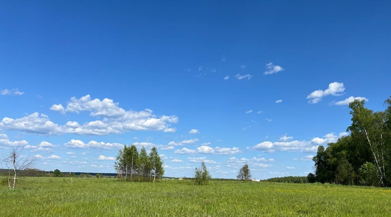 земля городской округ Серпухов д Гавшино фото 17