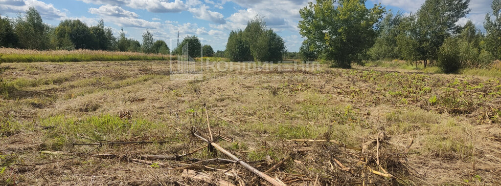 земля р-н Ковровский с Большие Всегодичи ул Вторая муниципальное образование Малыгинское фото 2