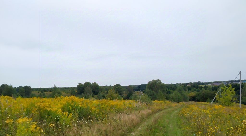 земля р-н Богородский д Килелей улица Карла Маркса, Буревестник фото 12