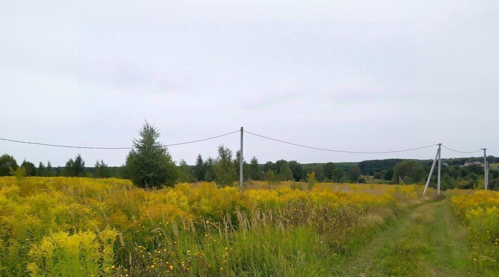 земля р-н Богородский д Килелей улица Карла Маркса, Буревестник фото 13