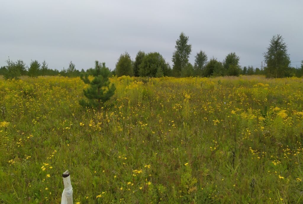 земля р-н Богородский д Килелей фото 7