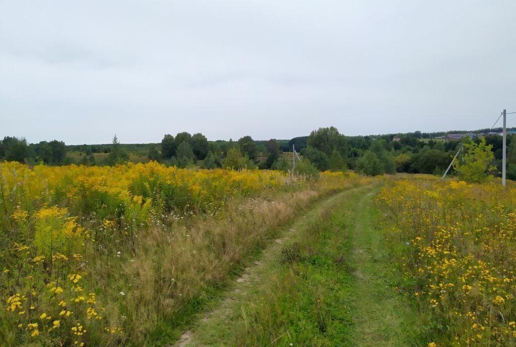 земля р-н Богородский д Килелей фото 12