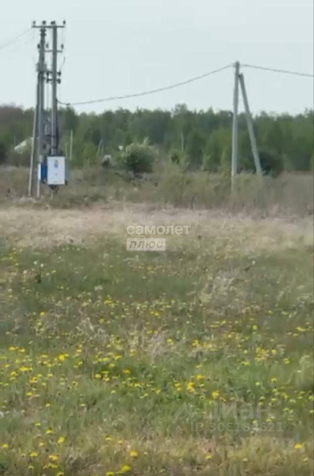 земля р-н Тюменский с Перевалово Переваловское сельское поселение, 6-й Федеральный проезд, Успенка фото 3