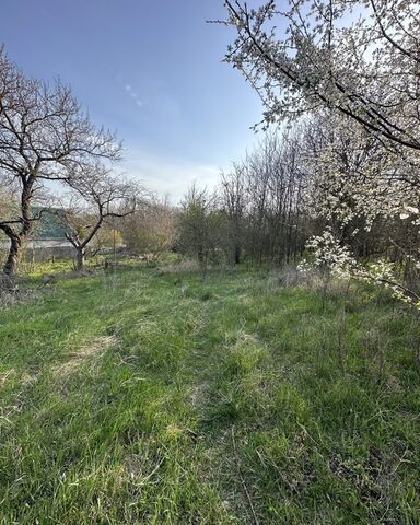 р-н Октябрьский садовое товарищество Садовод фото