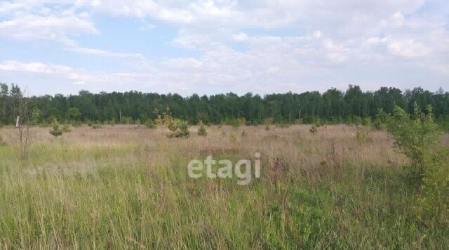 земля Старооскольский городской округ фото