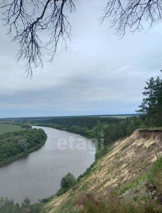 земля р-н Рамонский д Кривоборье ул Песчаная Горожанское с/пос фото 12