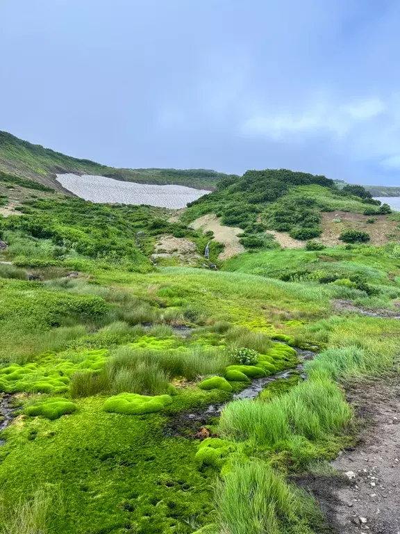 квартира г Петропавловск-Камчатский ул Виталия Кручины 10 фото 9