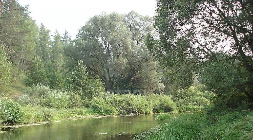 земля р-н Тарусский д Похвиснево с пос, 708, Заречье кп фото 8