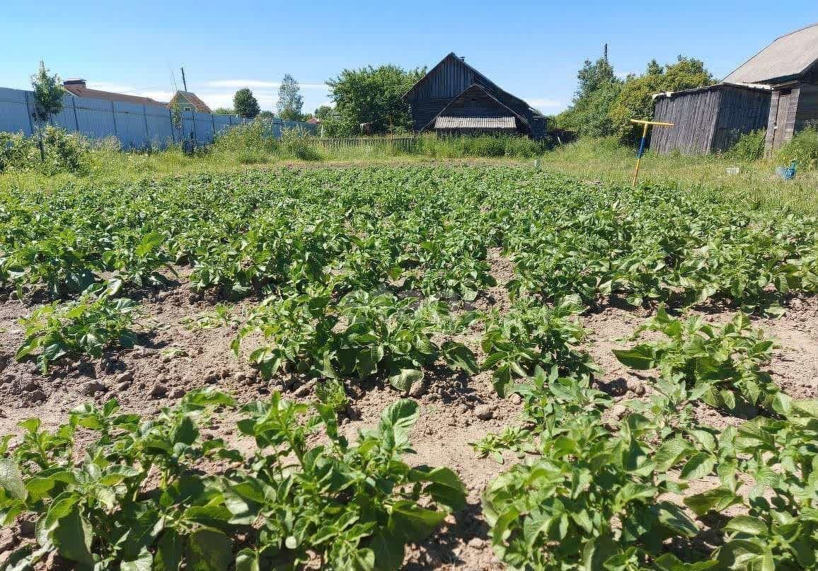 дом р-н Калининский д Бойково Кулицкое сельское поселение, Тверь фото 14