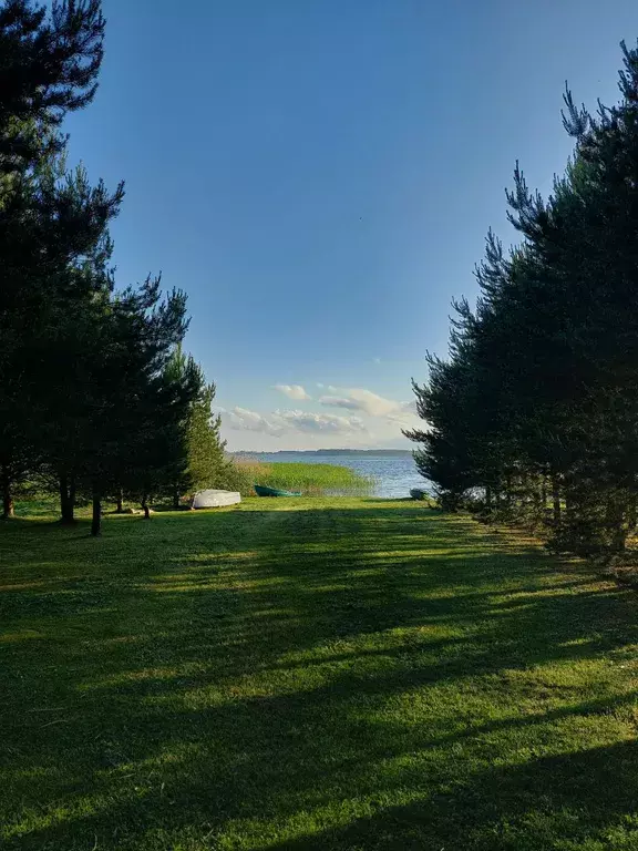 дом р-н Осташковский д Залучье - улица, 4Е фото 11