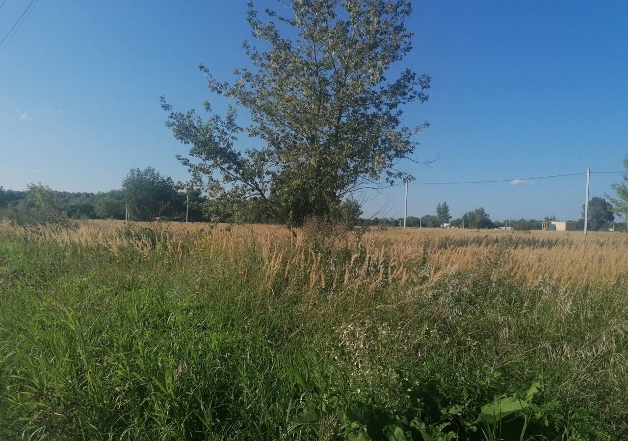 земля г Воскресенск снт Чайка 47 км, городской округ Воскресенск, Белоозёрский, Новорязанское шоссе фото 3