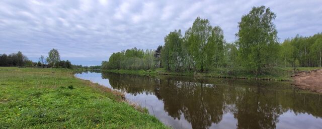 Ленинградское шоссе, 14 км, Козлово фото