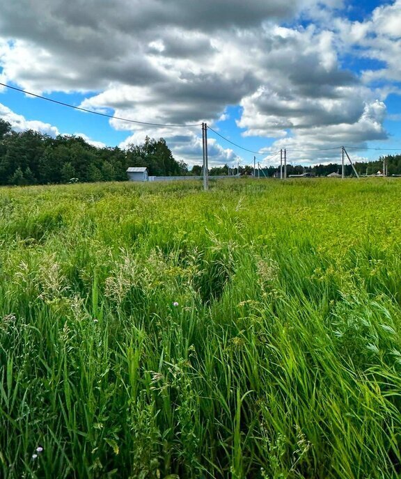 земля городской округ Наро-Фоминский д Плесенское фото 11