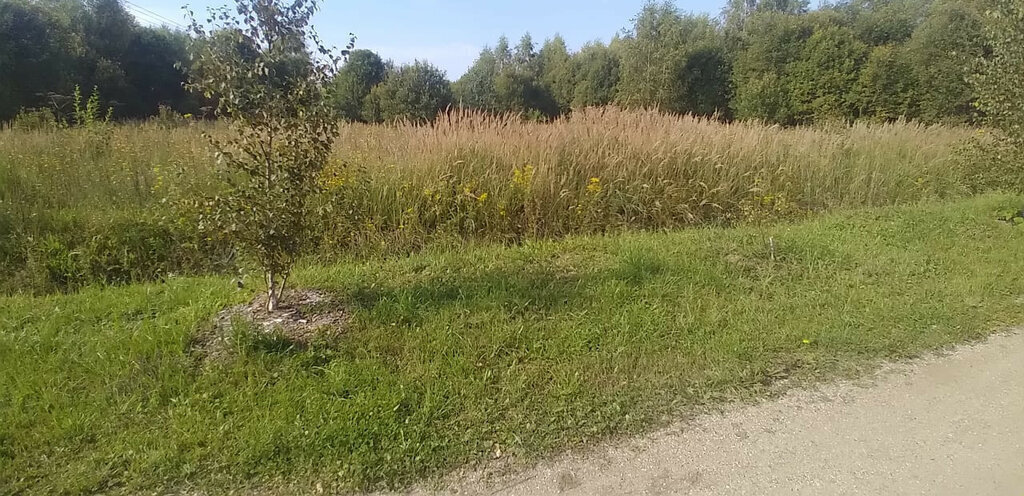 земля р-н Переславский д Подраменье городской округ Переславль-Залесский фото 4