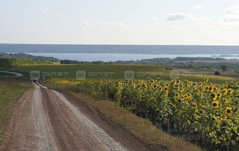 земля р-н Верхнеуслонский п Бакча-Сарай ул Центральная 1 Вахитовское сельское поселение, Казань фото 6