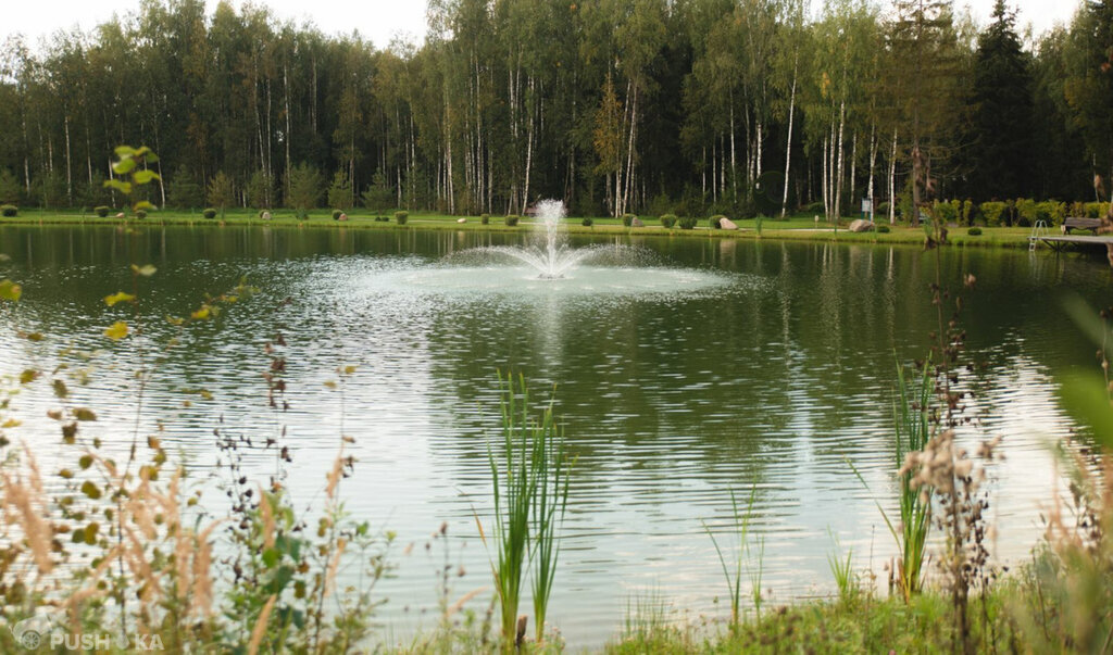 земля городской округ Рузский д Новорождествено фото 20