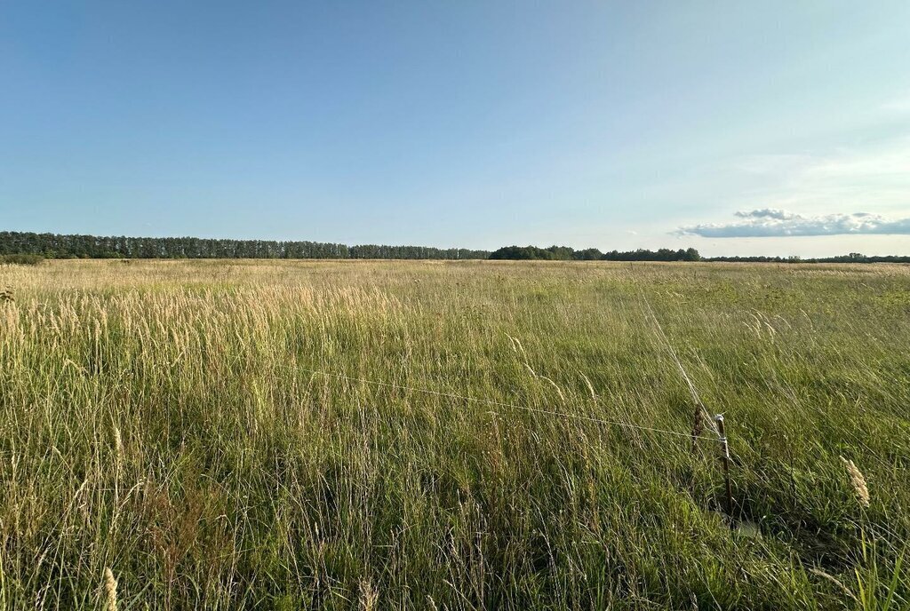 земля р-н Зеленодольский г Зеленодольск фото 2