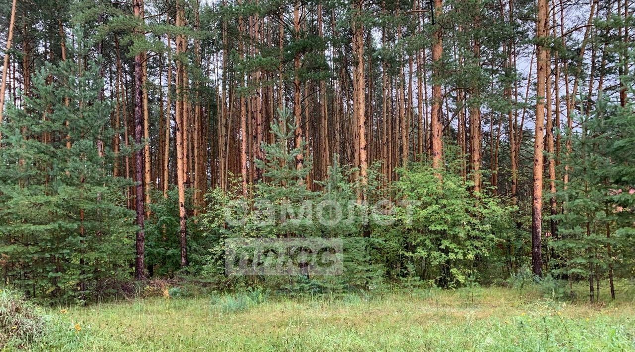 дом р-н Волжский п Яльчикский Обшиярское с/пос, ул. Центральная фото 41