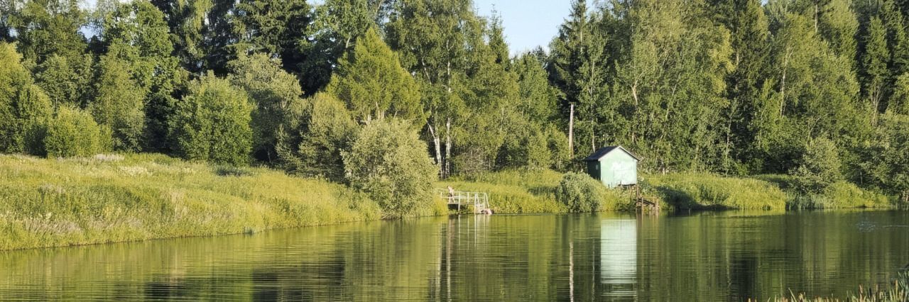 земля городской округ Солнечногорск д Головково фото 3