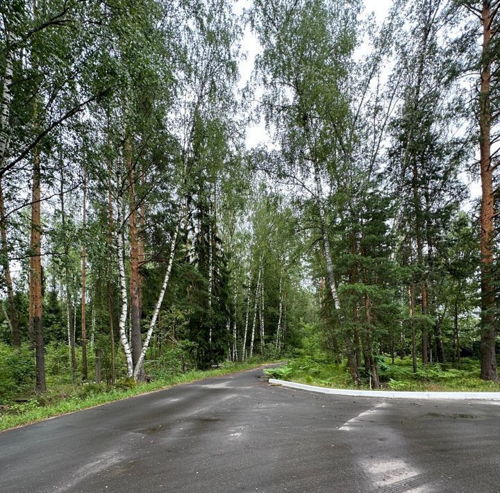 земля городской округ Богородский д Карабаново ул Заречная 8 Дачная Сказка кп фото 5