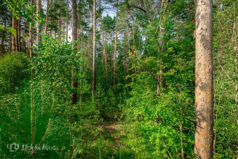 земля городской округ Одинцовский г Звенигород микрорайон Поречье, 6 фото 2