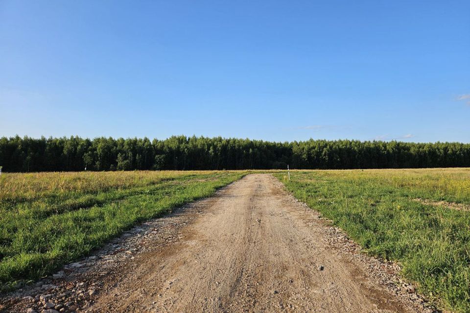 земля городской округ Раменский деревня Васильево фото 1