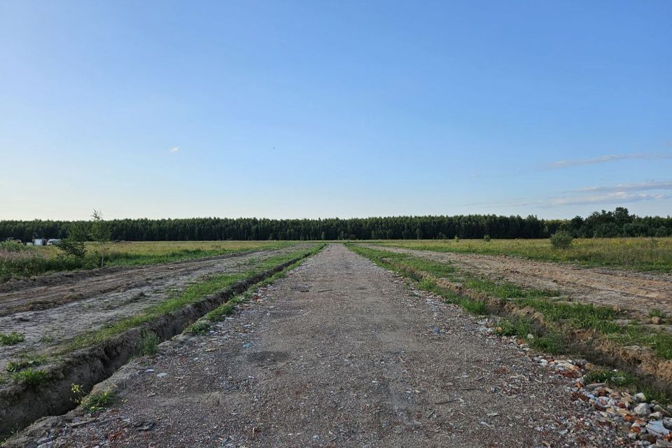 земля городской округ Раменский деревня Васильево фото 1