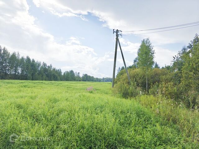 ул Сосновая фото