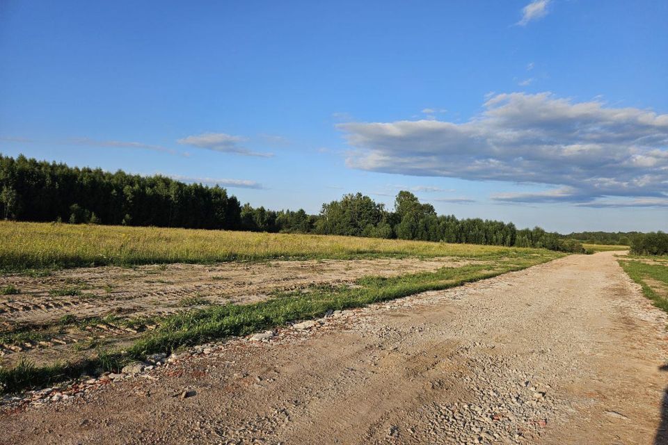 земля городской округ Раменский деревня Васильево фото 2