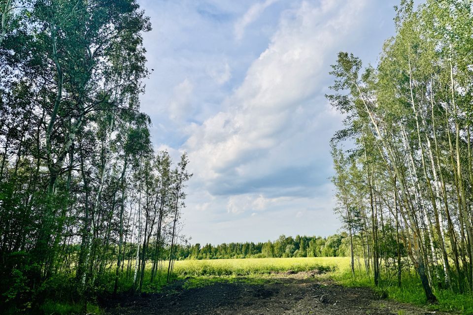 земля городской округ Орехово-Зуевский деревня Кудыкино фото 3