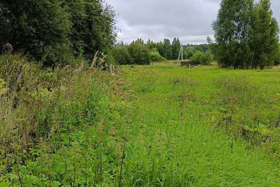 земля городской округ Рузский деревня Лихачёво фото 8