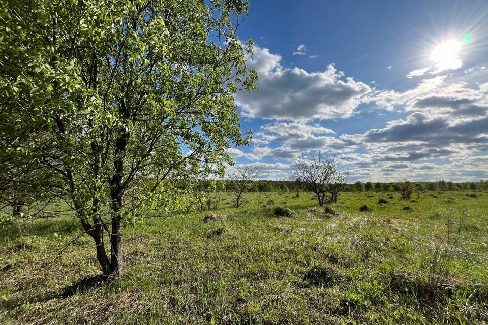 земля городской округ Серпухов Серпухов фото 9