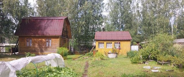 Рахьинское городское поселение, 5-я линия, 521 фото