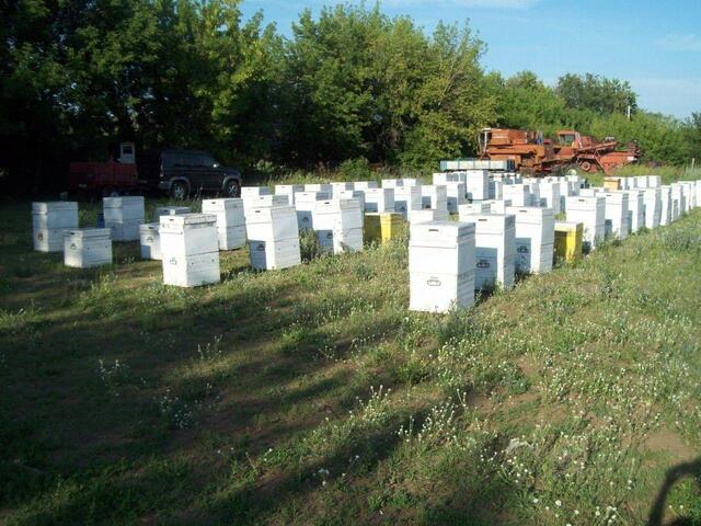 земля п Духовой ул Духовая сельское поселение Печинено, Богатое фото