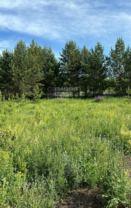 земля р-н Сарапульский д Усть-Сарапулка ул Александровская фото 3