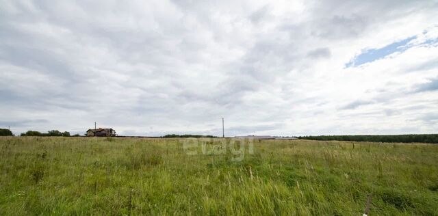 р-н Дальнеконстантиновский д Бугры фото