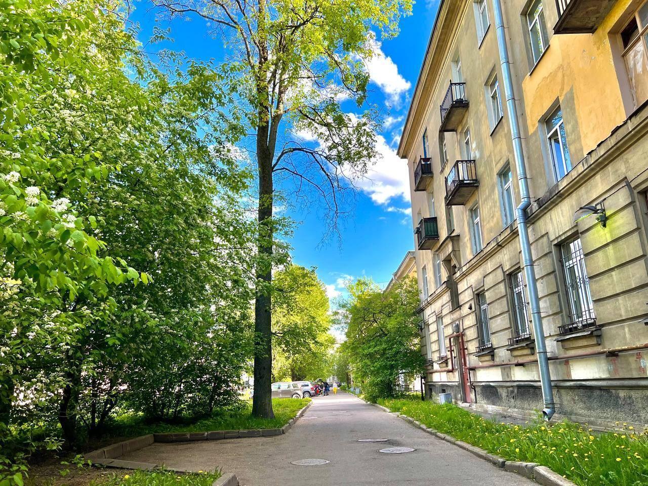 квартира Санкт-Петербург, Фрунзенский район, округ Волковское, улица Салова, 20 фото 28