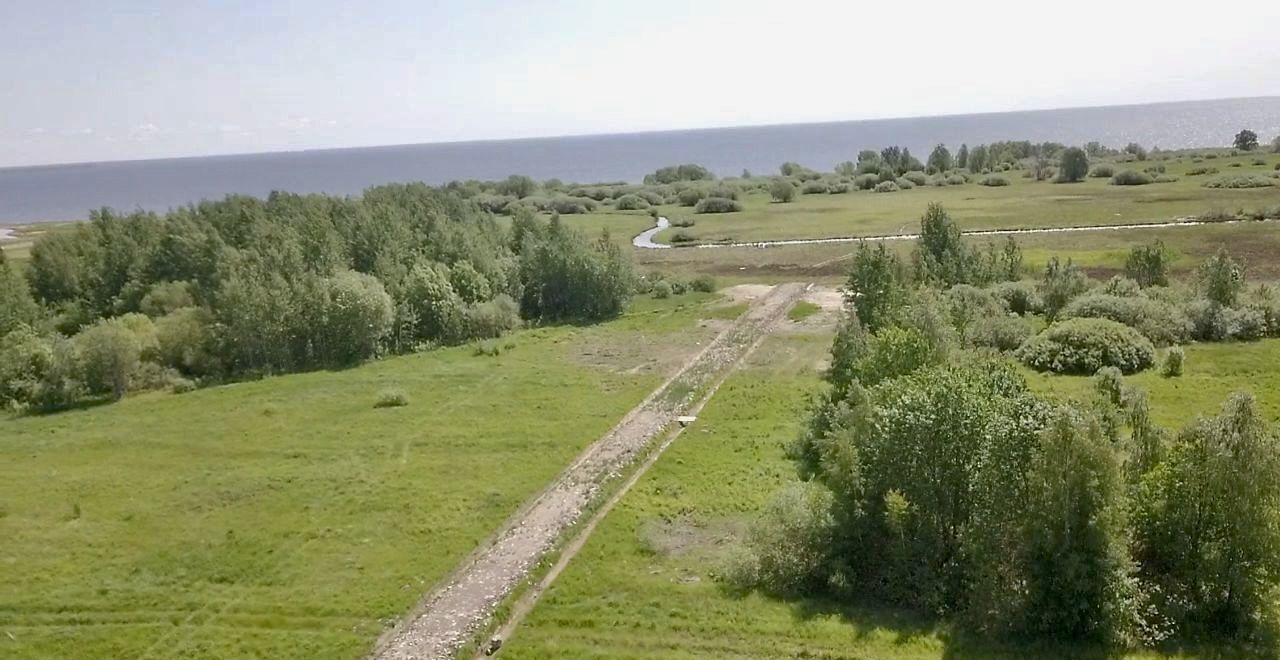 земля р-н Новгородский д Береговые Морины Ракомское сельское поселение, Великий Новгород фото 8