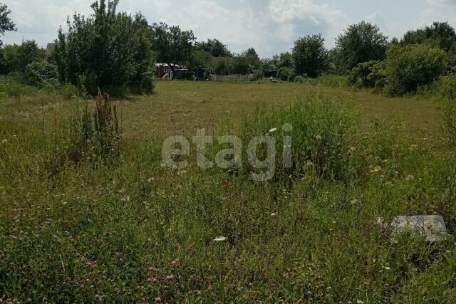 р-н Рамонский село Лопатки фото