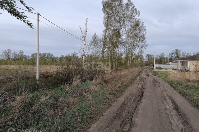 городской округ Воронеж, Левобережный фото