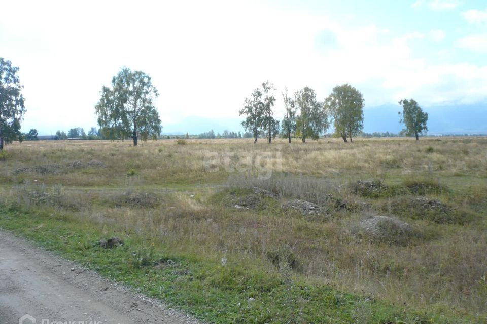 земля р-н Усть-Коксинский село Чендек фото 1