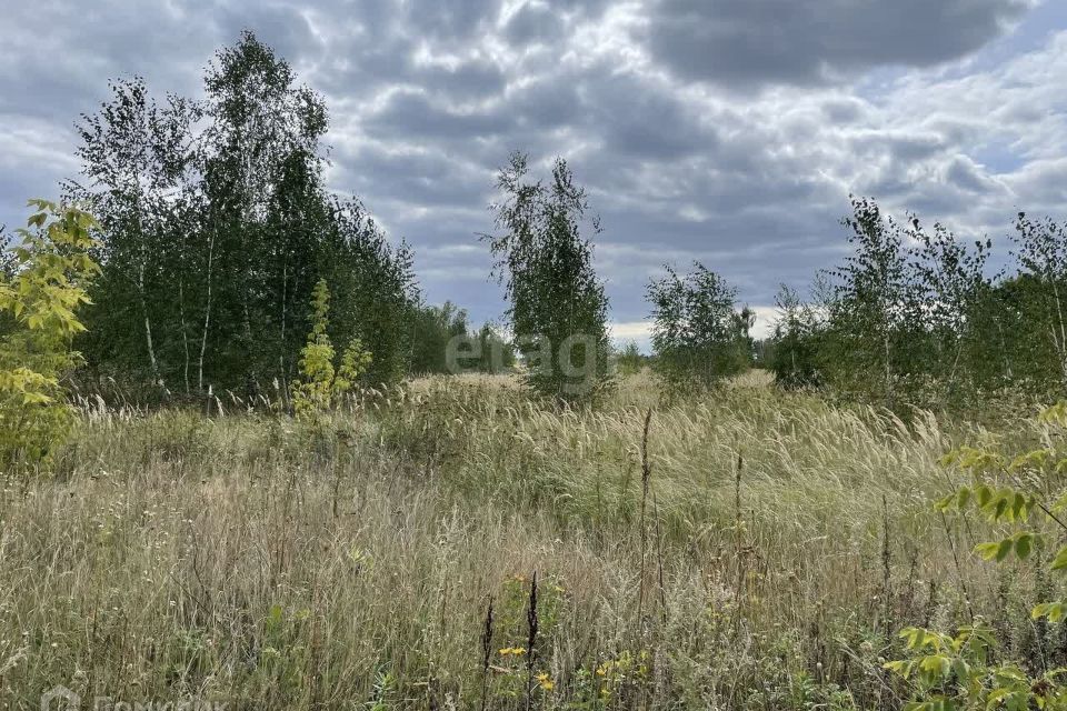 земля г Воронеж р-н Левобережный городской округ Воронеж, Левобережный фото 3