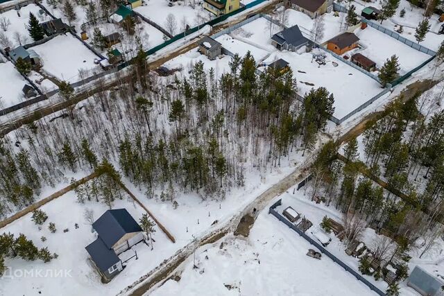 ПСОК Брусничка фото