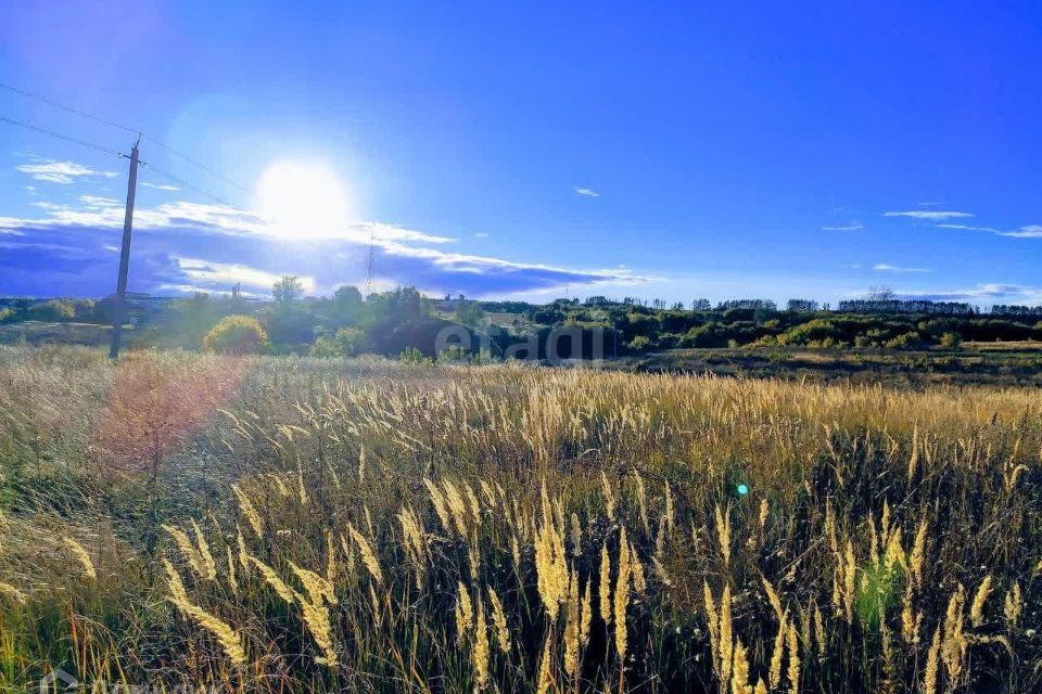 земля р-н Кочкуровский с Старые Турдаки Частный дом фото 2