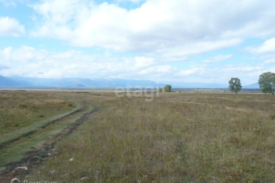 земля р-н Усть-Коксинский село Чендек фото 3