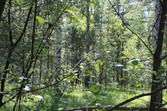 Полевской городской округ, село Курганово фото