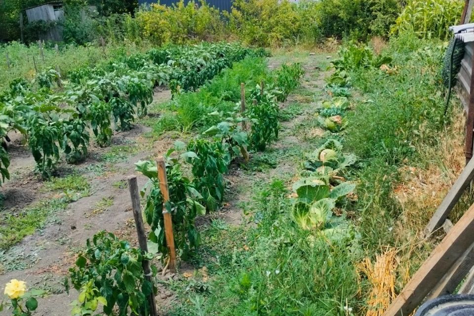 земля муниципальное образование Анапа, станица Гостагаевская фото 2