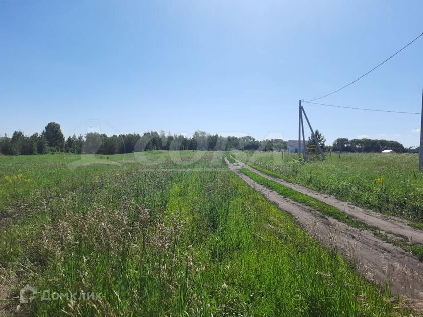 земля г Тюмень пл Центральная городской округ Тюмень фото 3